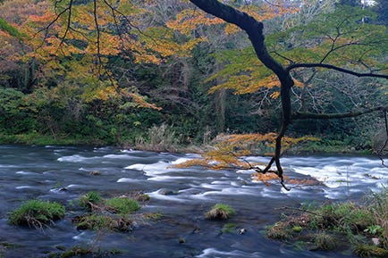 ND Filter ON